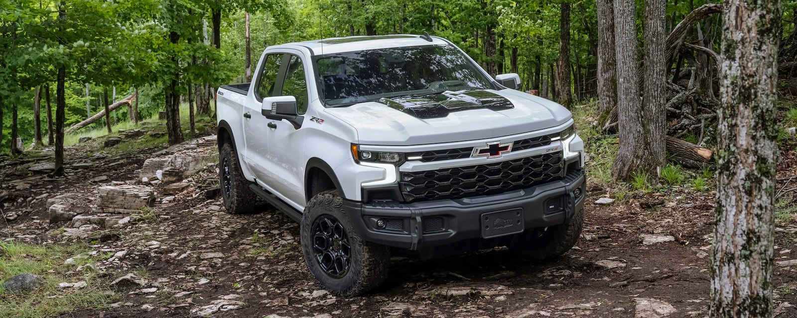 Chevy Silverado 1500 in the woods